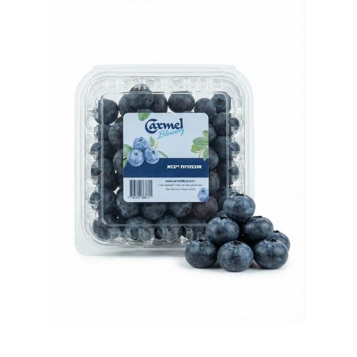 אוכמניות כרמל יבוא