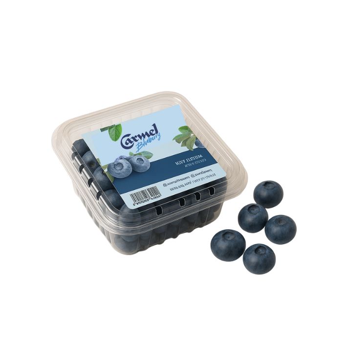 Imported  Blueberries
