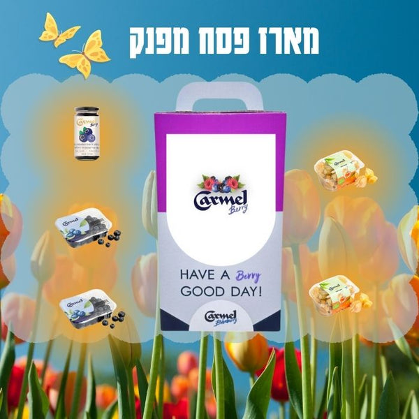 מארז פסח מפנק