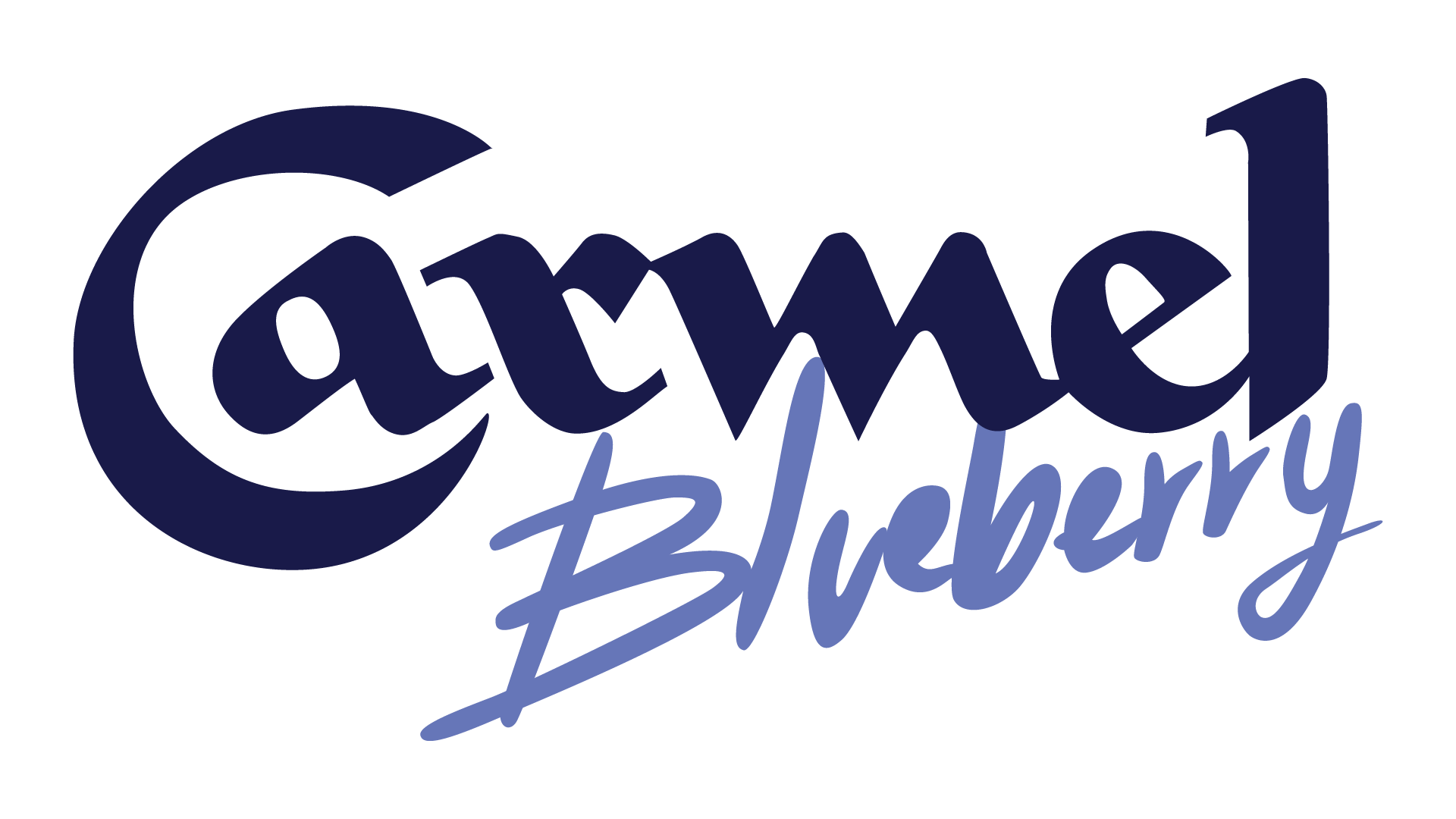 logo_icon