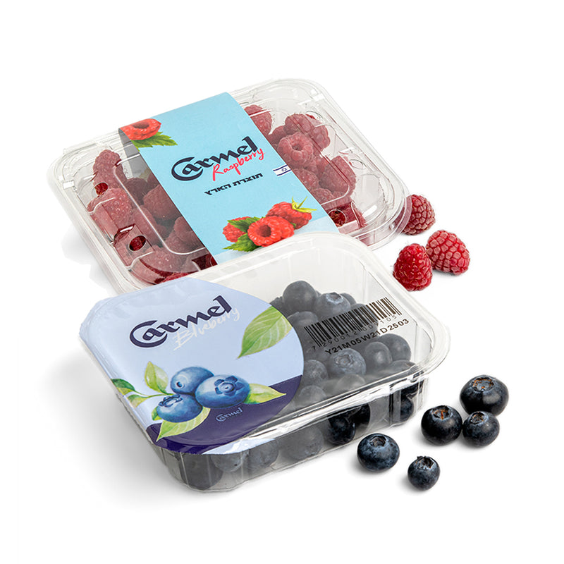Blueberries & Raspberries Mix